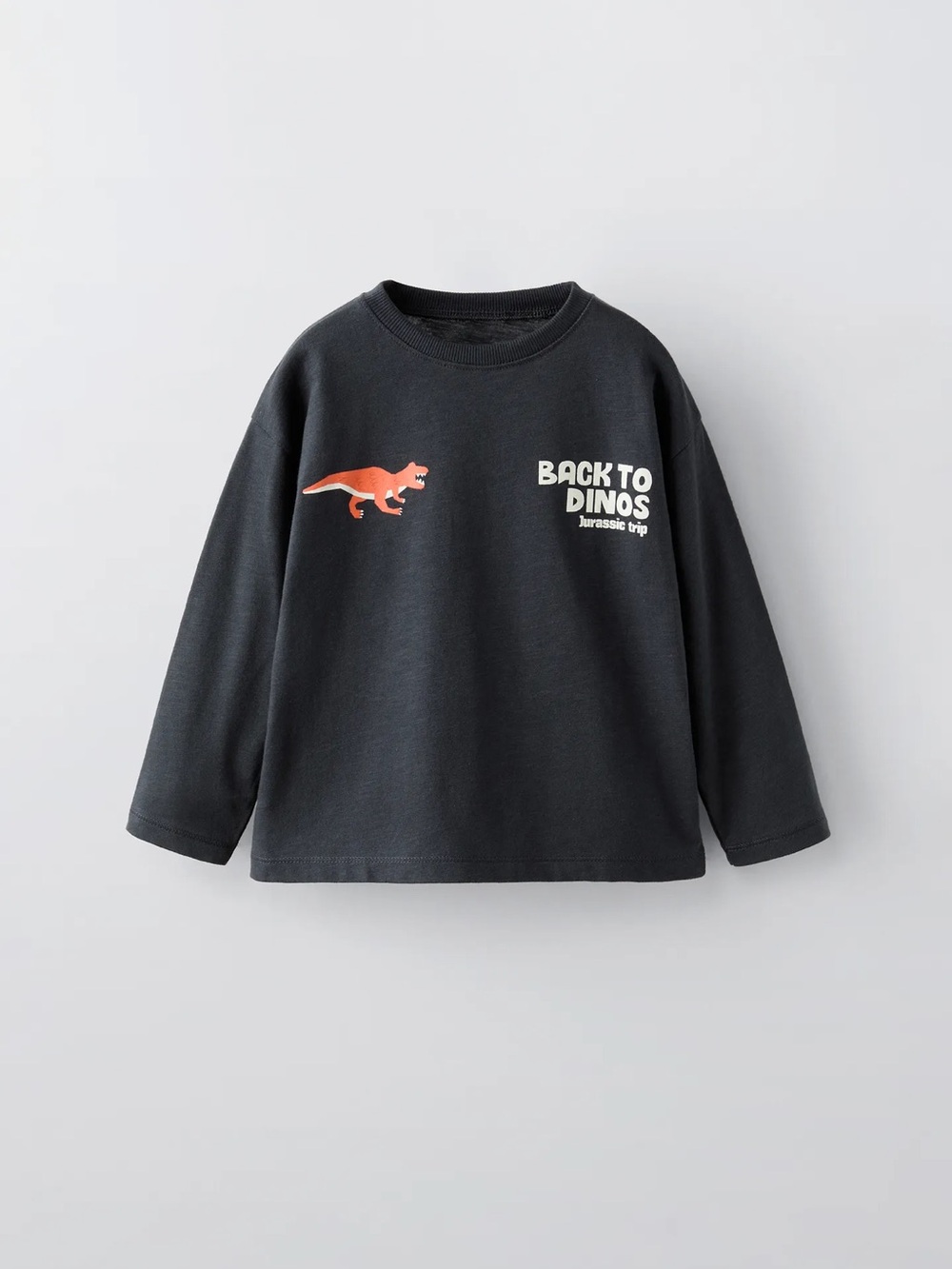 Zara Black Long-Sleeve Tee Dino Graphic